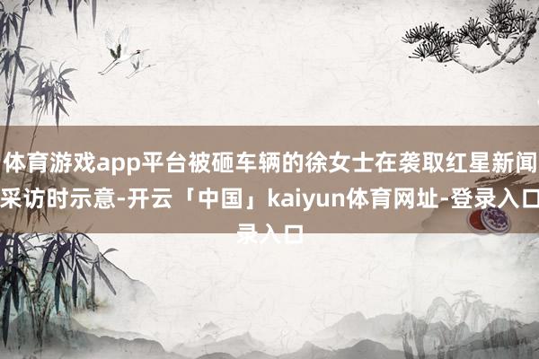 体育游戏app平台被砸车辆的徐女士在袭取红星新闻采访时示意-开云「中国」kaiyun体育网址-登录入口