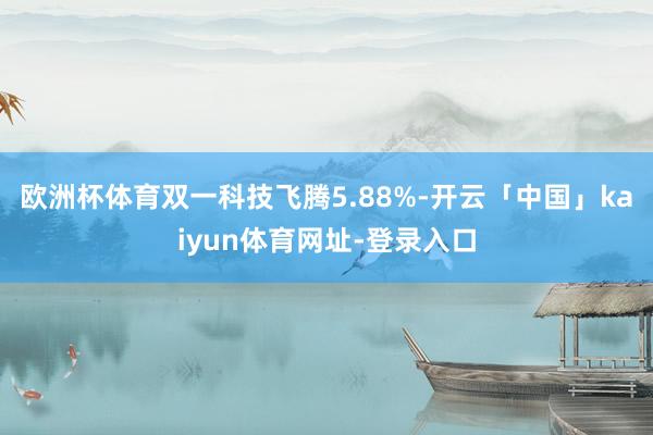 欧洲杯体育双一科技飞腾5.88%-开云「中国」kaiyun体育网址-登录入口